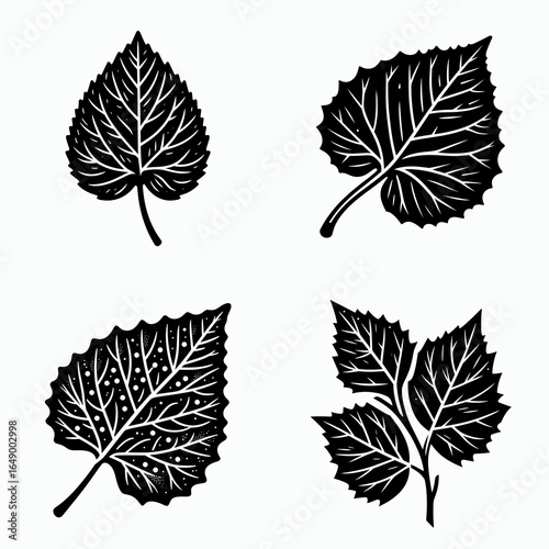 Poplar tree leaf. Retro Vintage Line Art Clipart Silhouette Vector Illustration. Aspen foliage detail on frond from a woodland broadleaf flora variety.