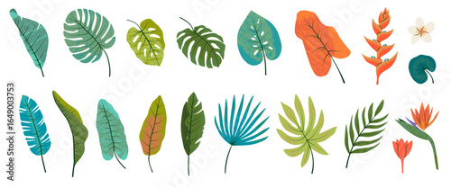 Set of summer tropical leaves in flat vector style. Isolated abstract bright elements with texture effect. Palm tree, monstera, strelitzia flower. Ideal for invitation, cover, card, poster, sticker.