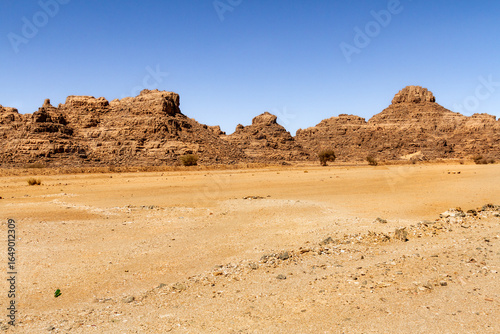 Sahara desert landscape. Amazing  rocks  formations plateau Tassili n' Ajjer near Djanet. Algeria, Africa