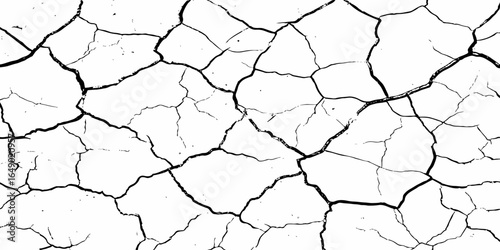 Organic cracked earth texture with natural fracture lines in bold monochrome, ideal for geological themes, decay concepts, or rustic background elements.