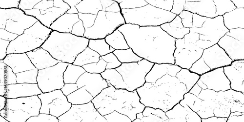 Organic cracked earth texture with natural fracture lines in bold monochrome, ideal for geological themes, decay concepts, or rustic background elements.