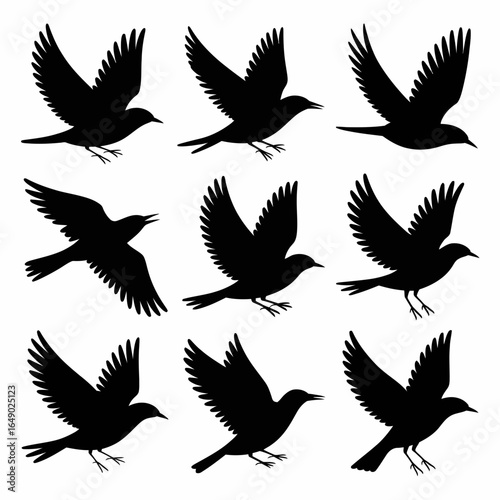 Collection of nine black bird silhouettes in various flying poses isolated on white background