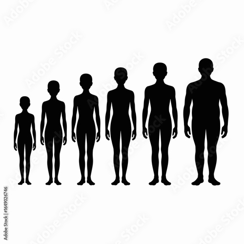 Silhouettes of human figures showing growth and development stages isolated on white background