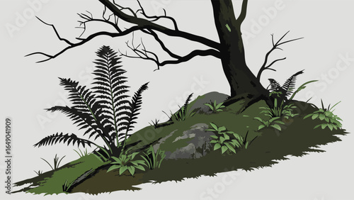Natural forest ground with green ferns, tree, and rocks. Woodland plants and outdoor nature landscape background.