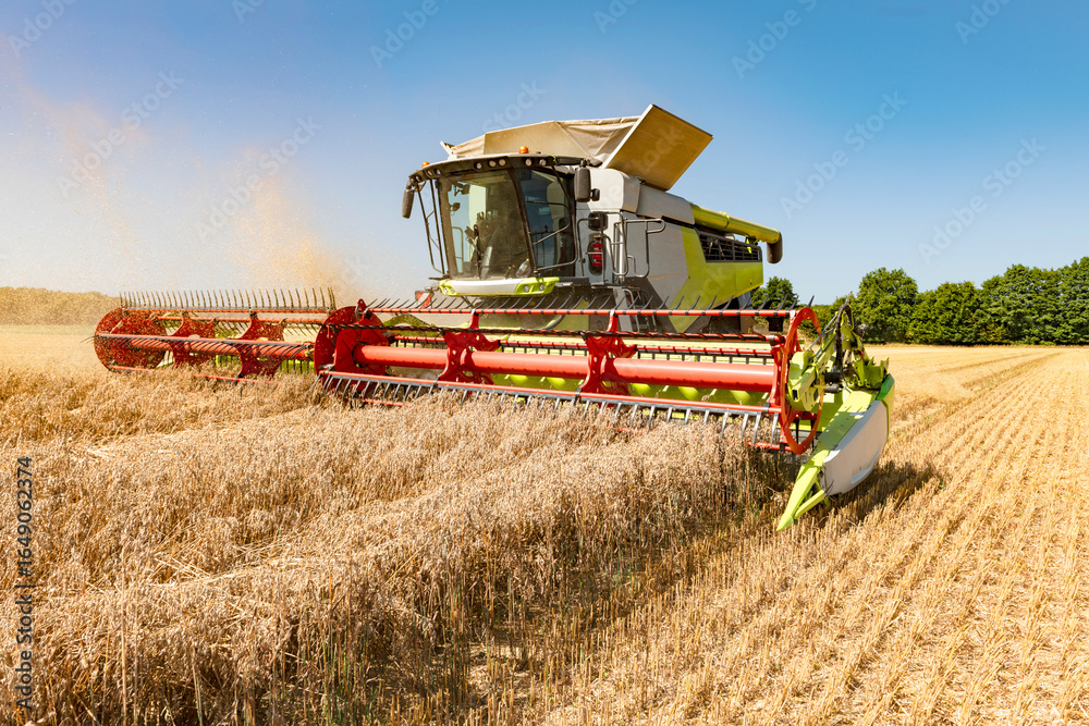 Obraz premium Combine harvester in the field during the grain harvest - 3675