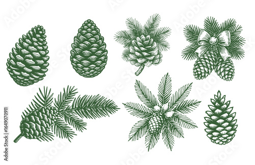 Pine Cone Set Christmas Vintage Sketch Landscape Holiday Xmas Card Engraving Frora Engraver Retro Winter Vector Print Depicting Detailed Cones And Branches