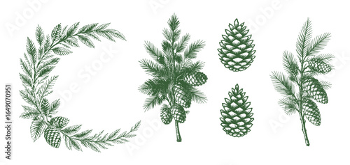 Pine Cone Set Christmas Vintage Sketch Landscape Holiday Xmas Card Engraving Frora Engraver Retro Winter Vector Print Depicting Detailed Cones And Branches