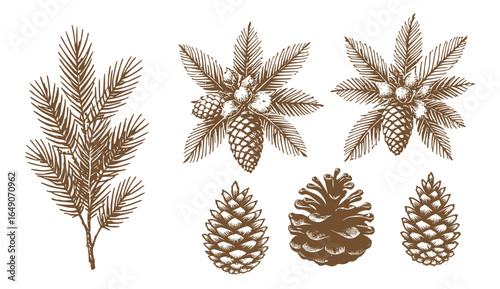 Pine Cone Set Christmas Vintage Sketch Landscape Holiday Xmas Card Engraving Frora Engraver Retro Winter Vector Print Depicting Detailed Cones And Branches