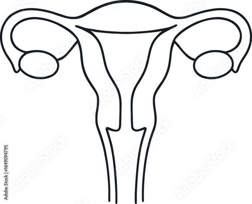 Female Reproductive System: Simple Line Art Medical Illustration