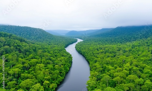 Vast waterway snakes through lush, dense rainforest, disappearing into misty hills. A bird's-eye view captures the verdant landscape under an overcast sky, showcasing nature's grandeur