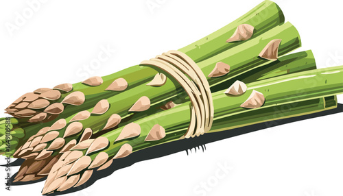 Fresh asparagus isolated on transparent png.vector.group, asparagus, life, nourishment, produce, still, bundle, cookery, spear, stalk, stem, transparent, close, green, healthy, herb, macro, market, 