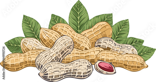 peanuts isolated on transparent png.vector.nut, peanut, brown, food, snack, clipping path, tan, cut out, flying, beige, color image, design element,