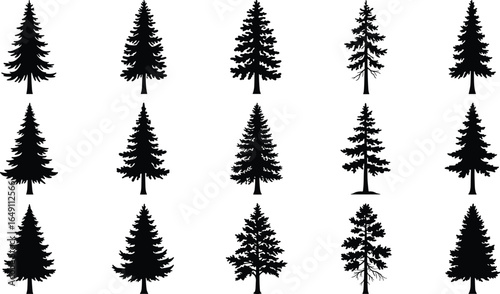 Evergreen tree silhouettes, pine and fir black icons, forest vector collection, natural woodland graphics, conifer trees design, nature illustration set