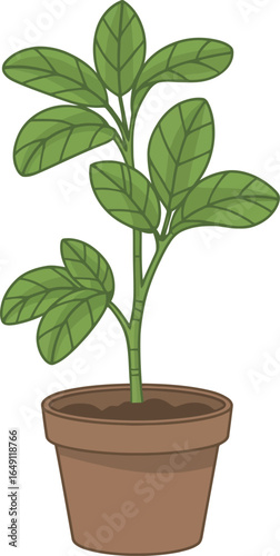 Potted plant with green oval leaves and visible veins—brown clay pot and multiple stems in natural vector style