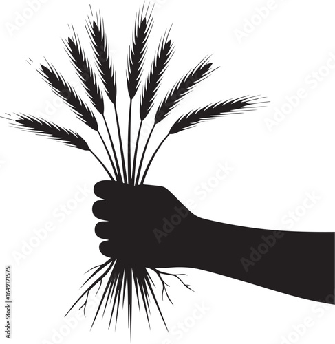Handful of wheat stalks symbolizing harvest and abundance