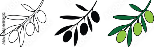 Olive branch outline icon, healthy Mediterranean food symbol, organic farm product, minimal line art vector illustration for cooking and oil