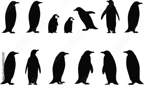 Emperor Penguin Family and Chick Silhouettes: Vector Illustrations of Antarctic Birds for Nature and Wildlife Design.