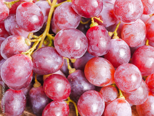 Close-up of fresh red grapes, still attached to green stems, showcasing their juicy and ripe texture. Grape, fruit, background, full frame, sweet, delicious 
