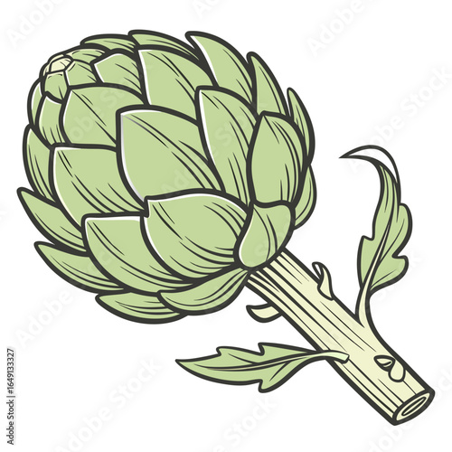 Illustration of a fresh green artichoke on a white background