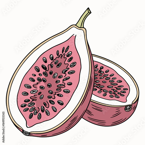 Ripe fig cut in half, revealing its juicy pink flesh and seeds, isolated on a white background. Delicious and healthy fruit illustration.
