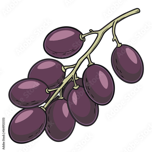 A vibrant cartoon illustration of a bunch of ripe purple grapes, symbolizing fresh harvest and healthy nutrition.