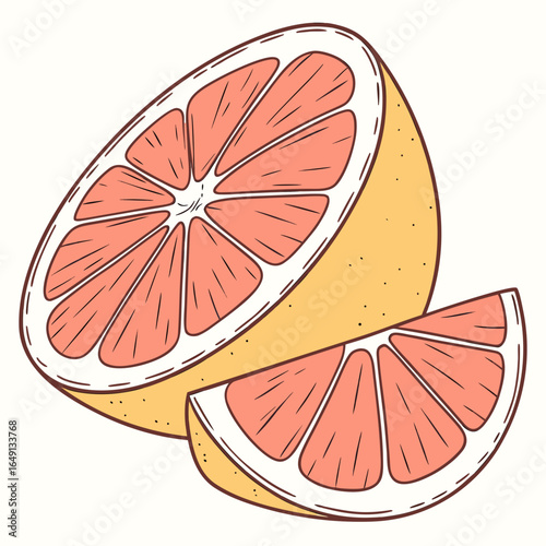 Juicy Grapefruit Illustration Half & Slice, Fresh Citrus Fruit Drawing