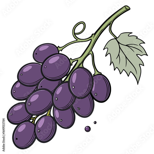 A vibrant cartoon illustration of a fresh bunch of purple grapes with a green leaf, isolated on a white background