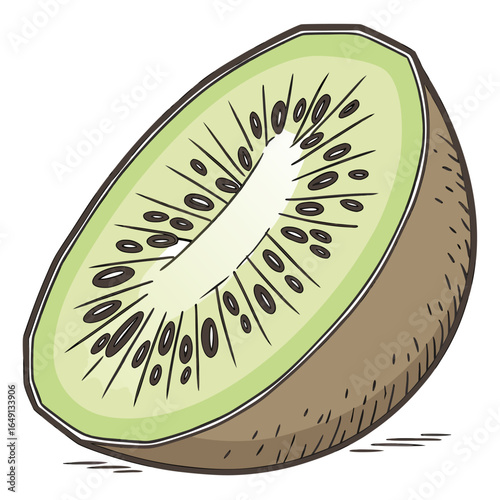 Half a Kiwi Fruit Hand-Drawn Illustration