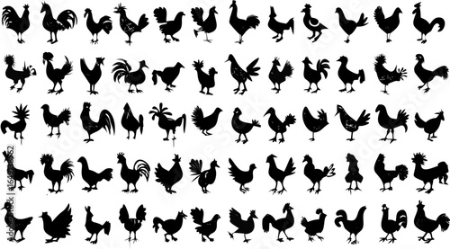 Collection of numerous black silhouette chicken and rooster images in various poses and positions on white