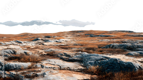Konstfotografi Rocky Tundra Landscape, isolated on transparent background