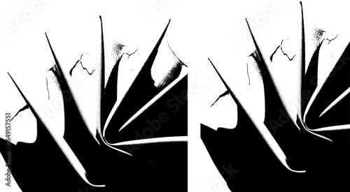 Monochrome textile macro photography for clean cuts