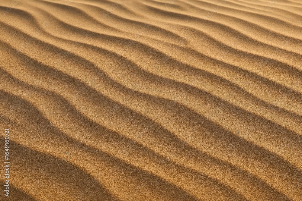 Sand Dunes in the Desert Abstract Texture Sand Dunes in the Desert Abstract Texture