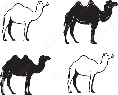 Camel Silhouette Vector – Desert Animal Side Profile Illustration
