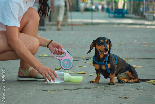 Woman crouches on street giving water from portable bottle to cute black and tan dachshund dog on leash