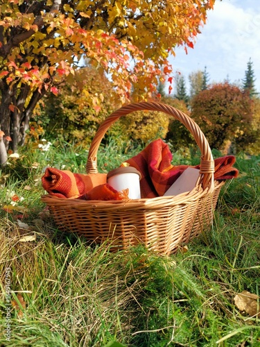 A wicker basket with a blanket, a mug,and athe book is sitting on the grass under a bush with autumn leaves.