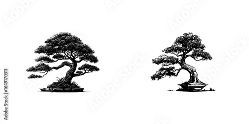 Artistic portrayal of two bonsai trees showcasing unique shapes and details in a minimalist black and white style