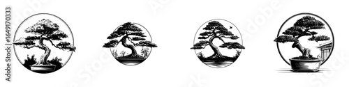 Classic bonsai tree illustrations showcasing growth stages and artistic representation in black and white