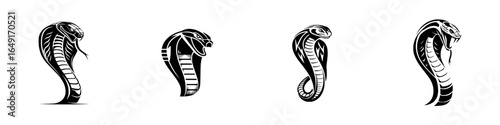 Intricate black and white illustrations of cobra snakes with varying poses showcasing their distinctive features