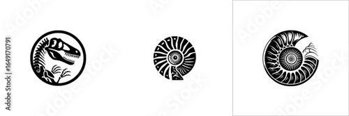 Dinosaur and ammonite designs illustrating prehistoric life and marine fossils