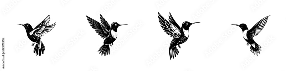 Fototapeta premium Black and white illustrations of hummingbirds in various flying positions showcasing elegance and grace