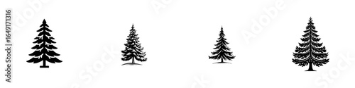 Various silhouettes of evergreen trees arranged in a row with different heights and styles against a plain background