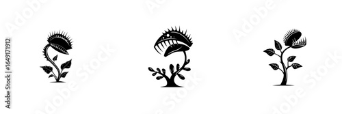 Unique decorative black plant silhouettes representing carnivorous species suitable for various art projects