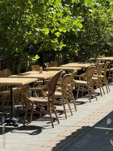 Outdoor Cafe with Wooden Tables and Wicker Chairs in Leafy Setting