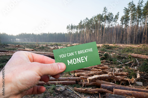 Hand holding nature message sign against deforested background. Person holds a green sign with a nature protection message 