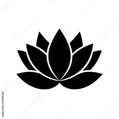 lotus flower vector illustration