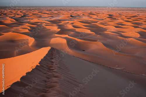 Lion Dune, Morocco – countless small sand dunes with footprints in foreground, merging into the horizon at sunset, serene Sahara desert landscape with golden light