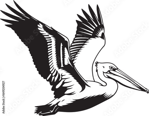 Black and White Pelican Vector Illustration