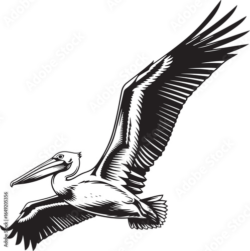 Black and White Pelican Vector Illustration