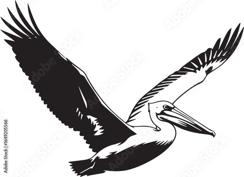 Black and White Pelican Vector Illustration