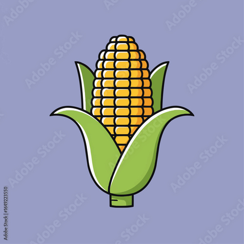 Illustration of a single ear of corn